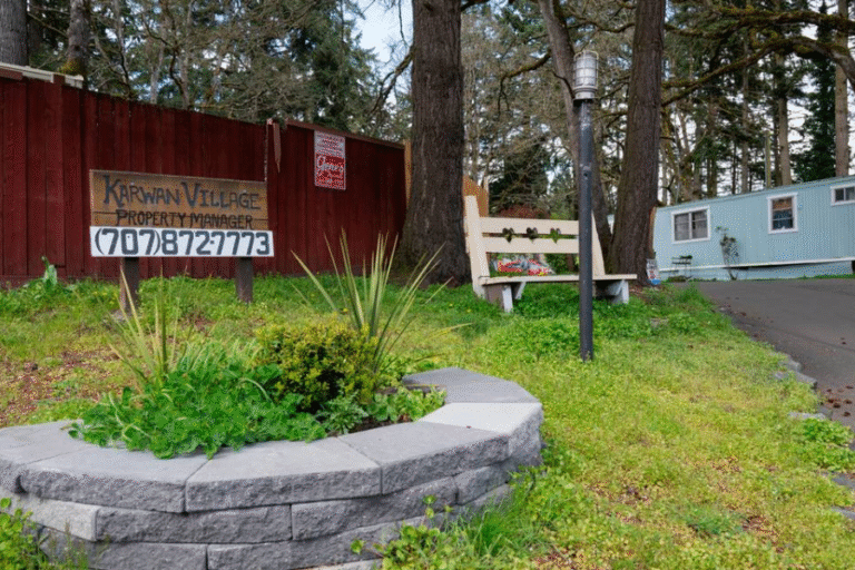 Lakewood Under the Spotlight: Social Trends Shaping Our Town in 2025