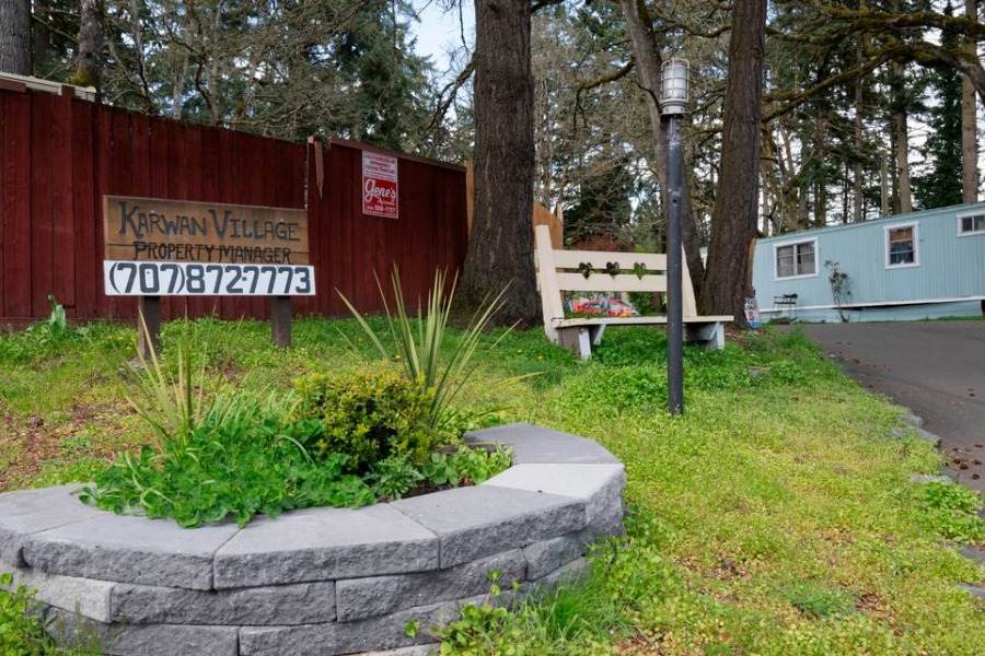 Lakewood Under the Spotlight: Social Trends Shaping Our Town in 2025